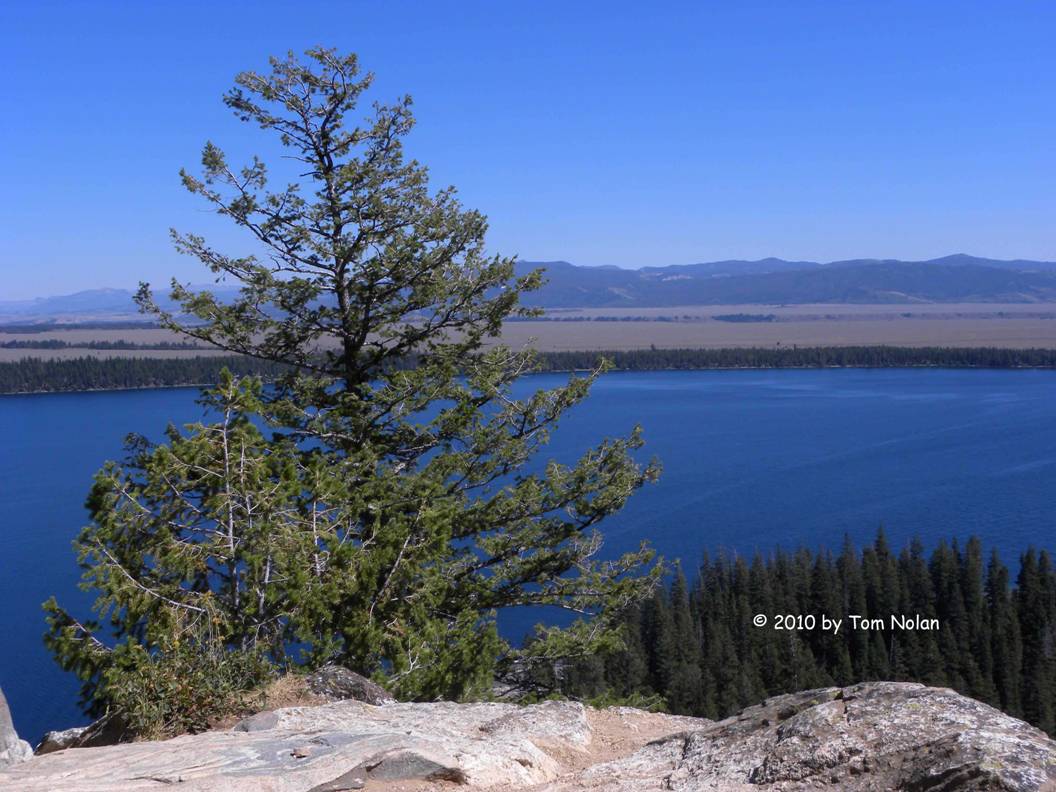 a view from inspiration point