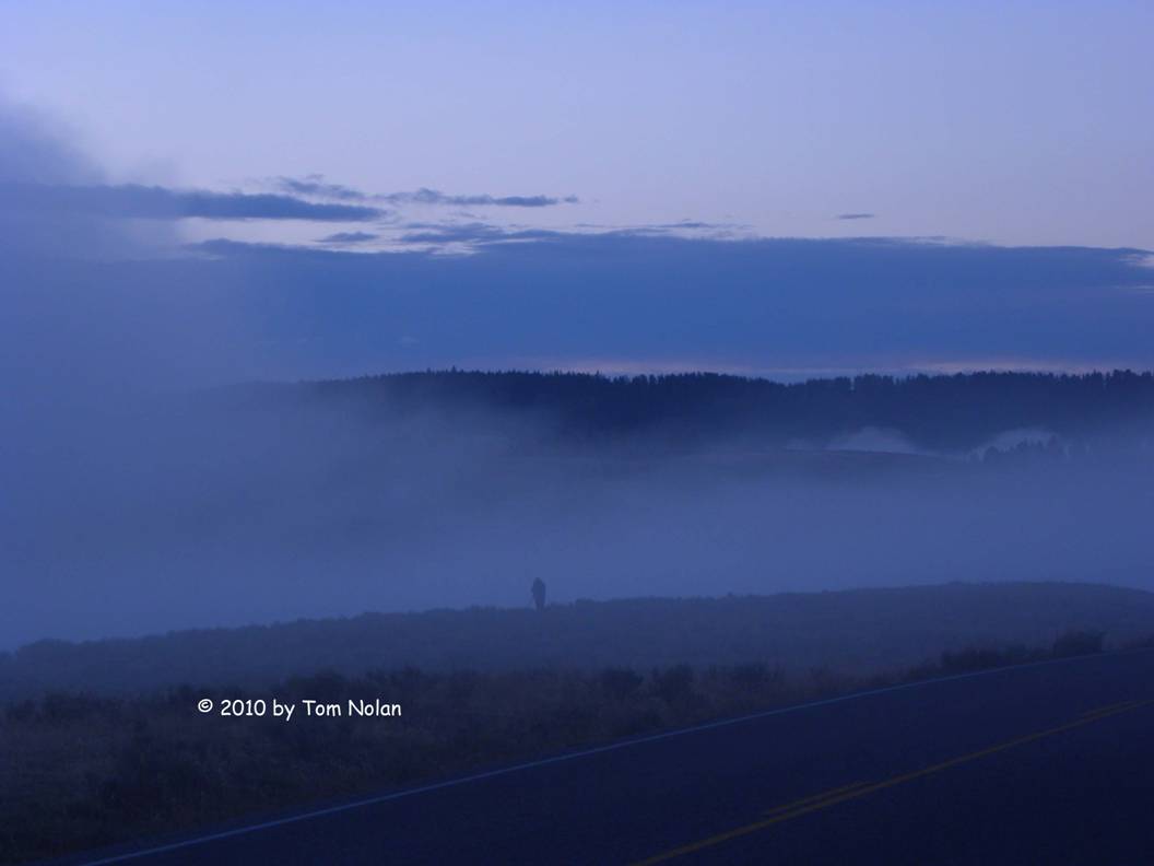 morning mist on the Yellowstone river