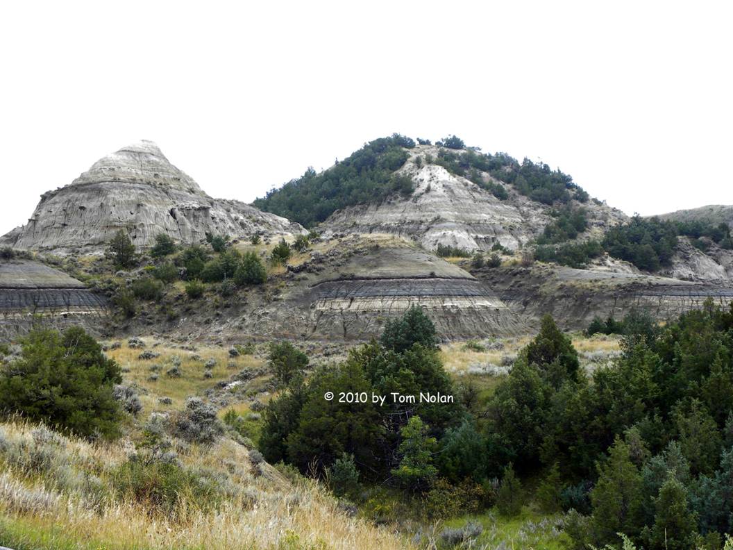 geology of TR National Park